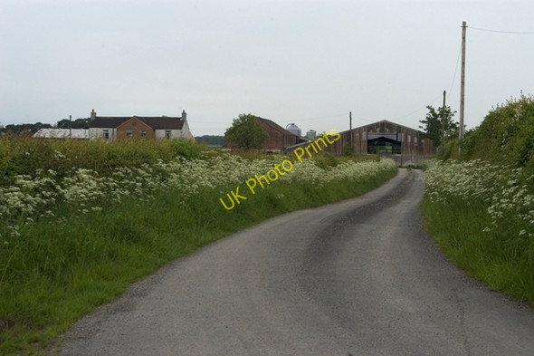 Photo 6"x4" Lane to Shenty's farm Nateby\/SD4644 c2009