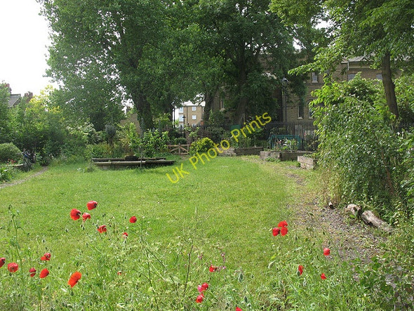Photo 6"x4" Eden at St Paul's Battersea c2009