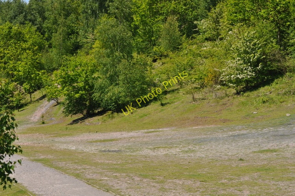 Photo 6"x4" Base Pooley View mound Alvecote c2009