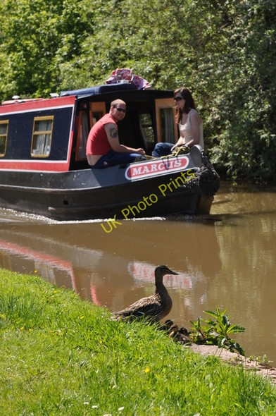 Photo 6"x4" Narrowboat and ducklings Alvecote c2009