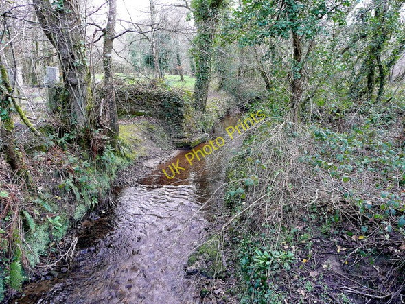 Photo 6"x4" Cornish brook 1 Demelza c2008