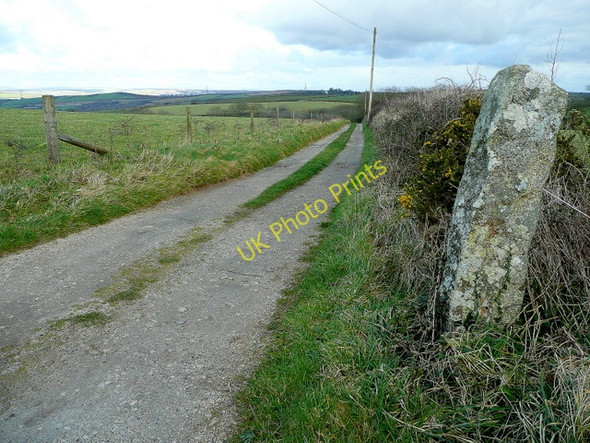 Photo 6"x4" Track to Trevidgeowe Farm Hendra\/SW9864 c2008