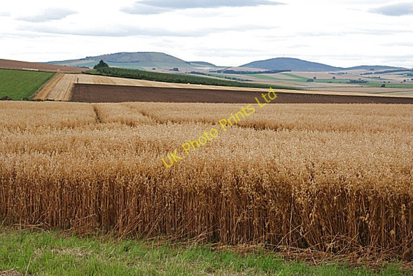 Photo 6"x4" Upper Darley Kirkton of Auchterless c2007
