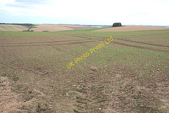 Photo 6"x4" Upper Darley Kirkton of Auchterless c2007
