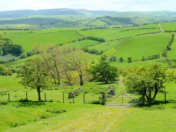 Photo 6"x4" Glorious Radnor Rhos-crug c2009