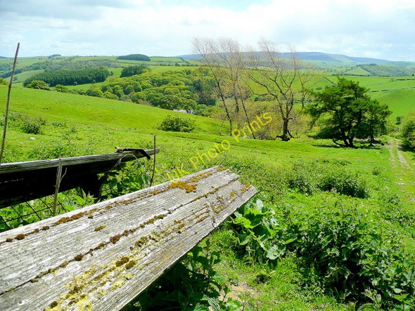 Photo 6"x4" Old feeders by the bridleway Rhos-crug c2009