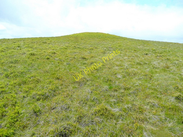 Photo 6"x4" Tumulus on Rhos-crug Ffoeslaprey c2009