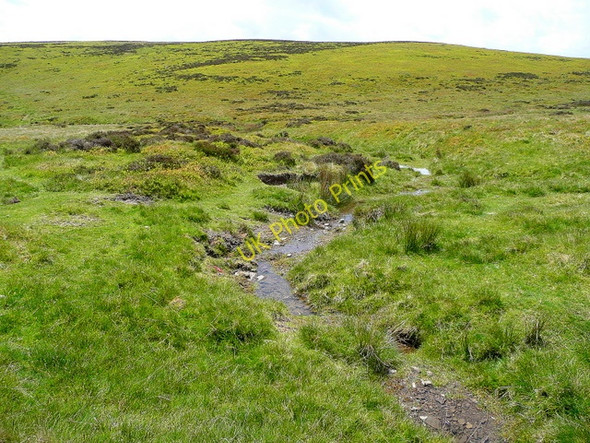 Photo 6"x4" The infant Lugg Rhos-crug c2009