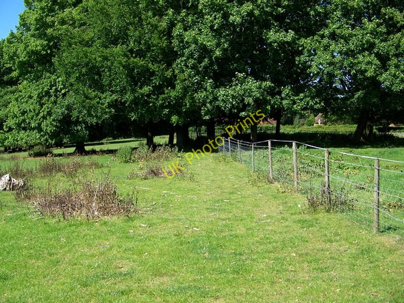 Photo 6"x4" Footpath, Hinton Ampner Hinton Ampner c2009