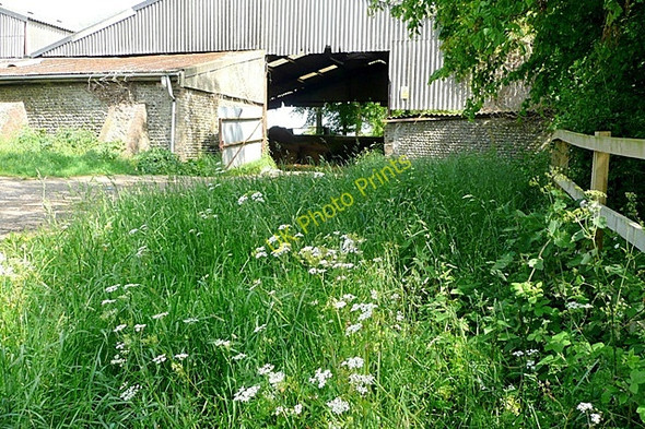 Photo 6"x4" Lambleys Barn Beggars Bush\/TQ1607 c2009