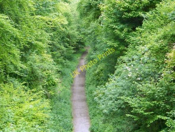 Photo 6"x4" Meon Valley Trail near Warnford Warnford c2009