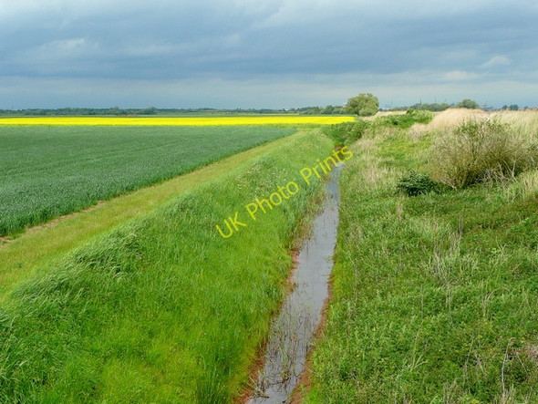 Photo 6"x4" Drain on Hook Moor Rawcliffe Bridge c2009