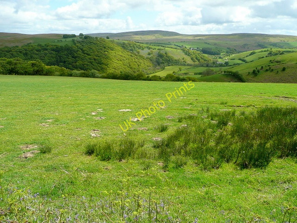 Photo 6"x4" High Pastures 2 Felindre\/SO1681 c2009