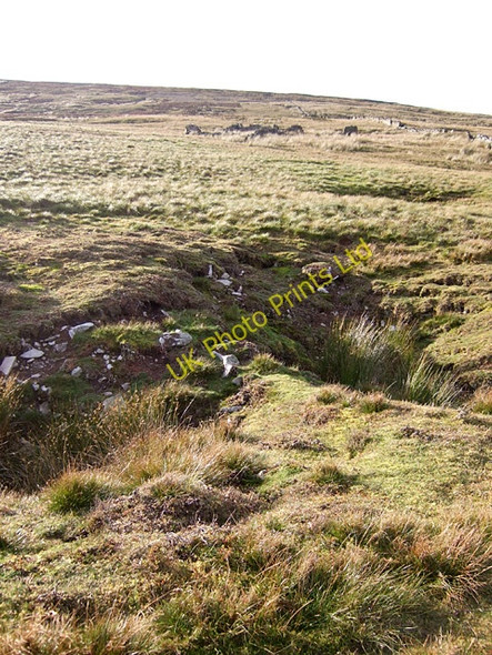 Photo 6"x4" Limestone Hill on Knarsdale Common Slaggyford c2007