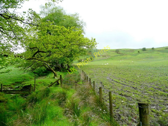 Photo 6"x4" View to Esgair y Maes Foel\/SH9911 c2009