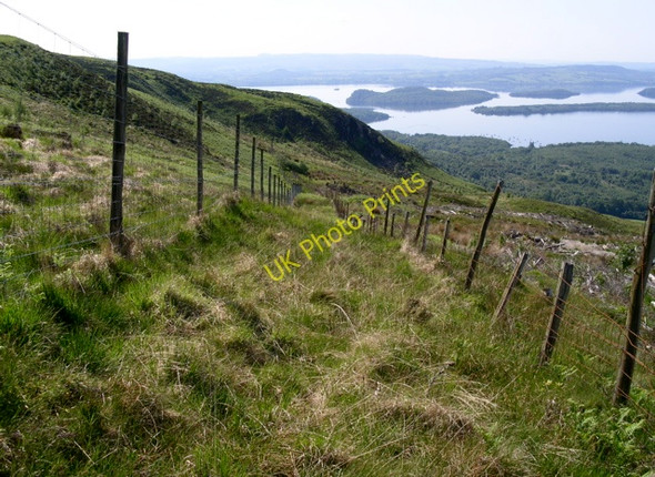 Photo 6"x4" Deer fence at Rowardennan Forest Tom Soilleir\/NS4095 c2009