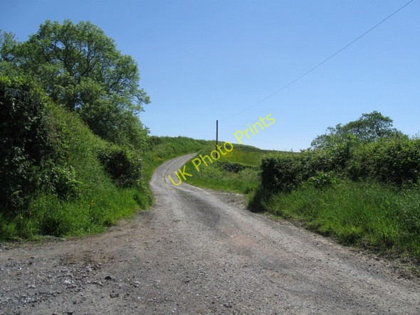 Photo 6"x4" Track leading to Lletyrhyddod from unclassified road Cilgwyn\/SN7429 c2009