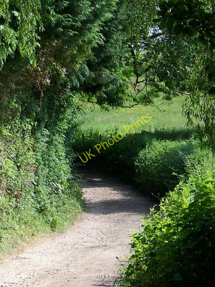 Photo 6"x4" Footpath, Folds Farm Fordingbridge c2009