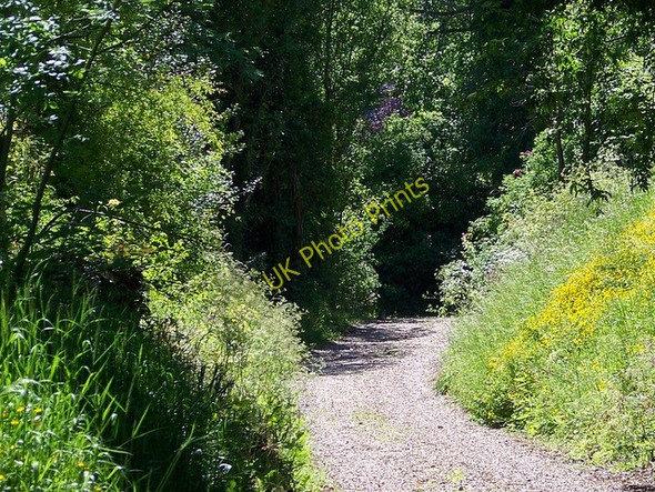 Photo 6"x4" Footpath, Alvediston Alvediston c2009