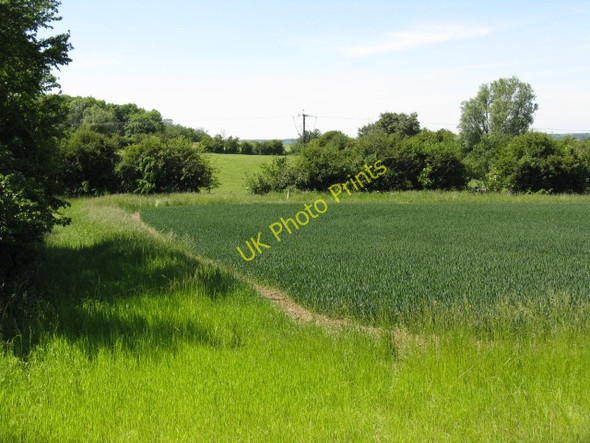 Photo 6"x4" Fields Near Armston Armston c2009