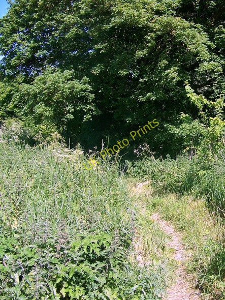 Photo 6"x4" Bridleway towards Alvediston Alvediston c2009