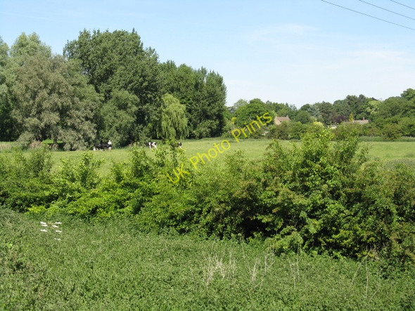 Photo 6"x4" Island Grazing Oundle c2009