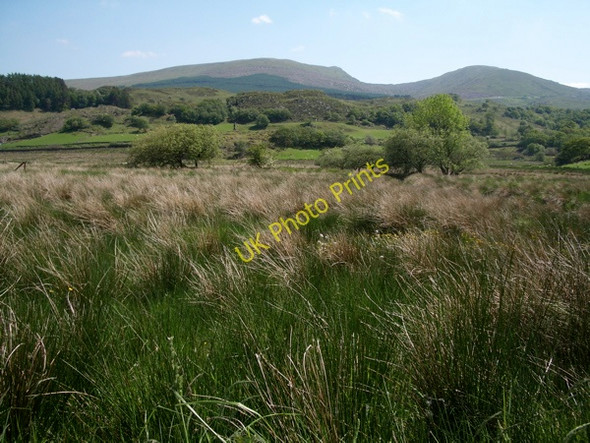 Photo 6"x4" Blaenau Dolwyddelan: rough grazing \/ marshland Blaenau Dolwyddelan c2009