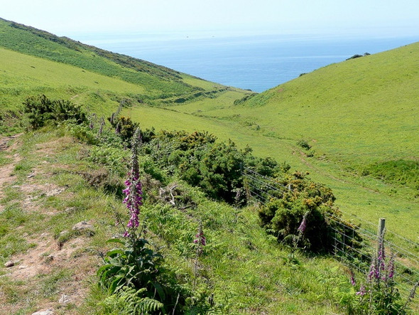 Photo 6"x4" View towards Great Mattiscombe Sand Bickerton\/SX8138 c2009