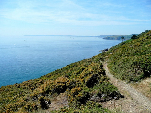 Photo 6"x4" Coast Path at Froward Point 2 Kingston\/SX9051 c2009