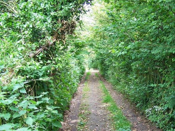 Photo 6"x4" Footpath near Sompting Sompting Abbotts c2009