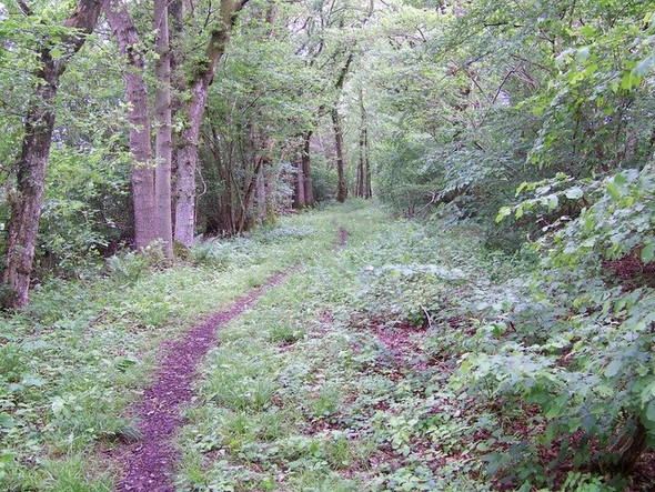 Photo 6"x4" Bridleway, Heyshott Green Heyshott c2009