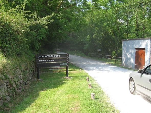 Photo 6"x4" Forest Entrance Kilworth c2009