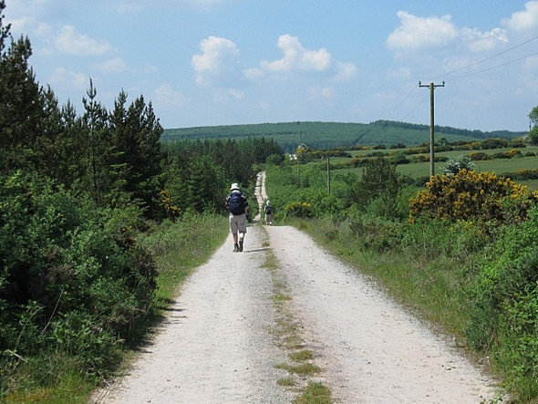 Photo 6"x4" Country Lane Araglin c2009