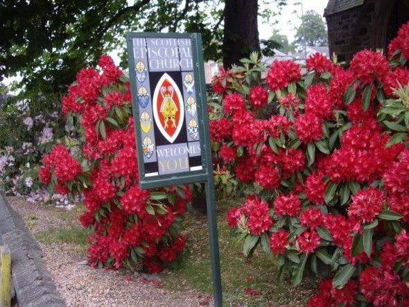 Photo 6"x4" Garden of St Ternan's Church, Banchory Banchory\/NO6995 c2009
