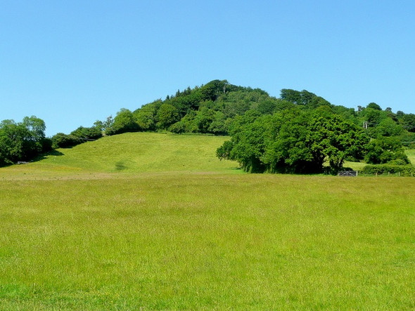 Photo 6"x4" Pasture land south of Beacon Hill Bowd\/SY1090 c2009