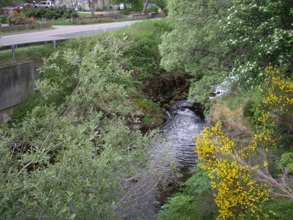 Photo 6"x4" Upstream Burn of Tarvie Shenval\/NJ2129 c2009