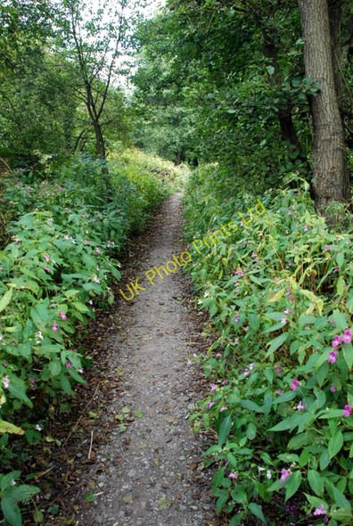 Photo 6"x4" Footpath along the river Derwent Calver Sough c2007