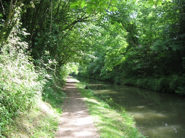 Photo 6"x4" Shadows stretch across the towpath on the Grand Union Canal Tring c2009