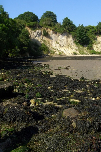 Photo 6"x4" Southern end of Studland's South Beach Studland c2009