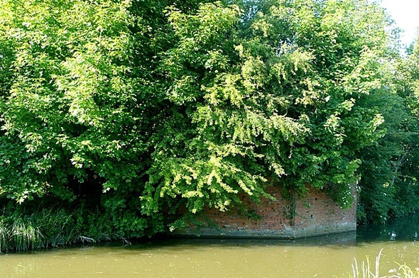 Photo 6"x4" Enborne railway bridge Newbury\/SU4767 c2009