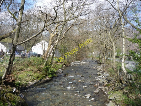 Photo 6"x4" Church beck Cat Bank c2009