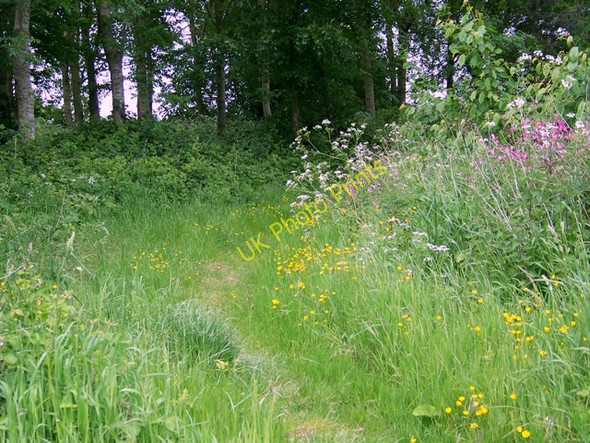 Photo 6"x4" Footpath, Hartley Mauditt Hartley Mauditt c2009