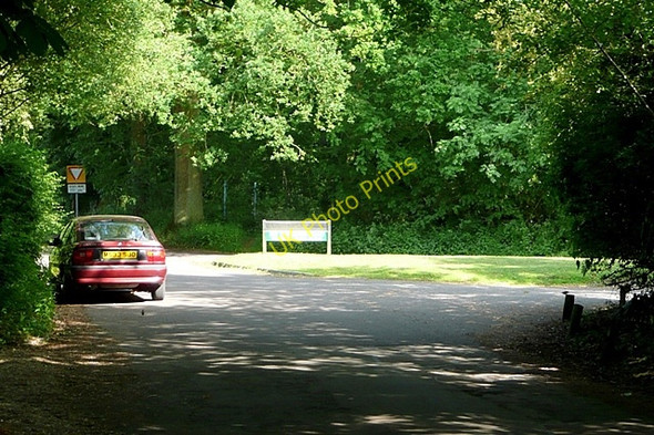 Photo 6"x4" Tenaplas Drive Quick's Green c2009