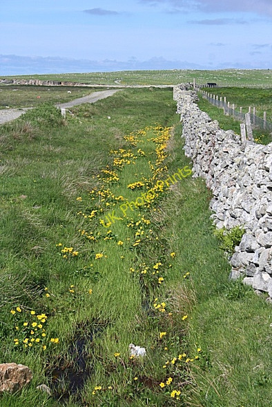 Photo 6"x4" Colourful Ditch Baile an Truiseil c2009