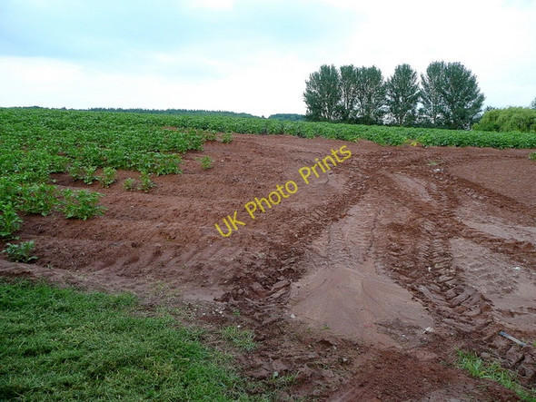 Photo 6"x4" Footpath line Bromsash c2009