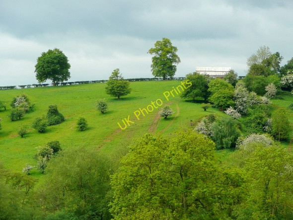 Photo 6"x4" View across the Monnow Maypole\/SO4716 c2009