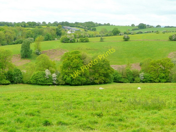 Photo 6"x4" Llymon Brook valley Wayne Green c2009