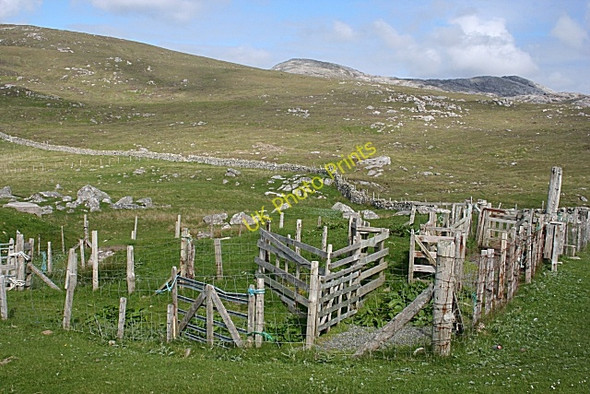 Photo 6"x4" Sheep Pens at Mealasta Mealasta\/NA9924 c2009