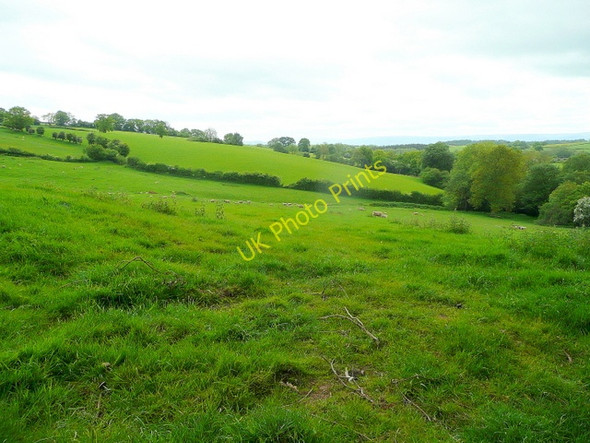 Photo 6"x4" Countryside south-west of Newcastle Newcastle\/SO4417 c2009
