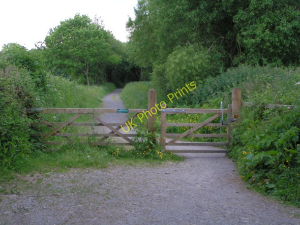 Photo 6"x4" Dunsbear Halt, on the Tarka Trail going south Winswell c2009